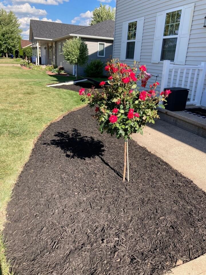 Landscaping Project 2