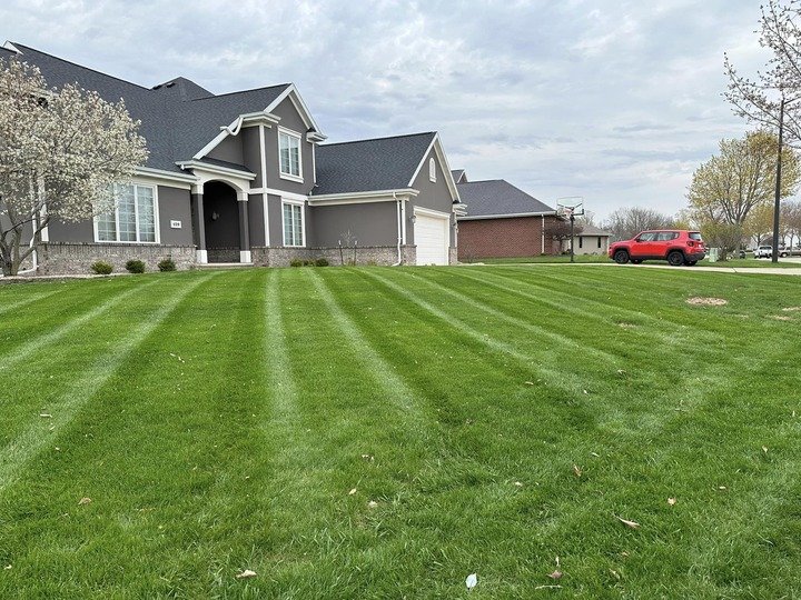 Landscaping Project 3
