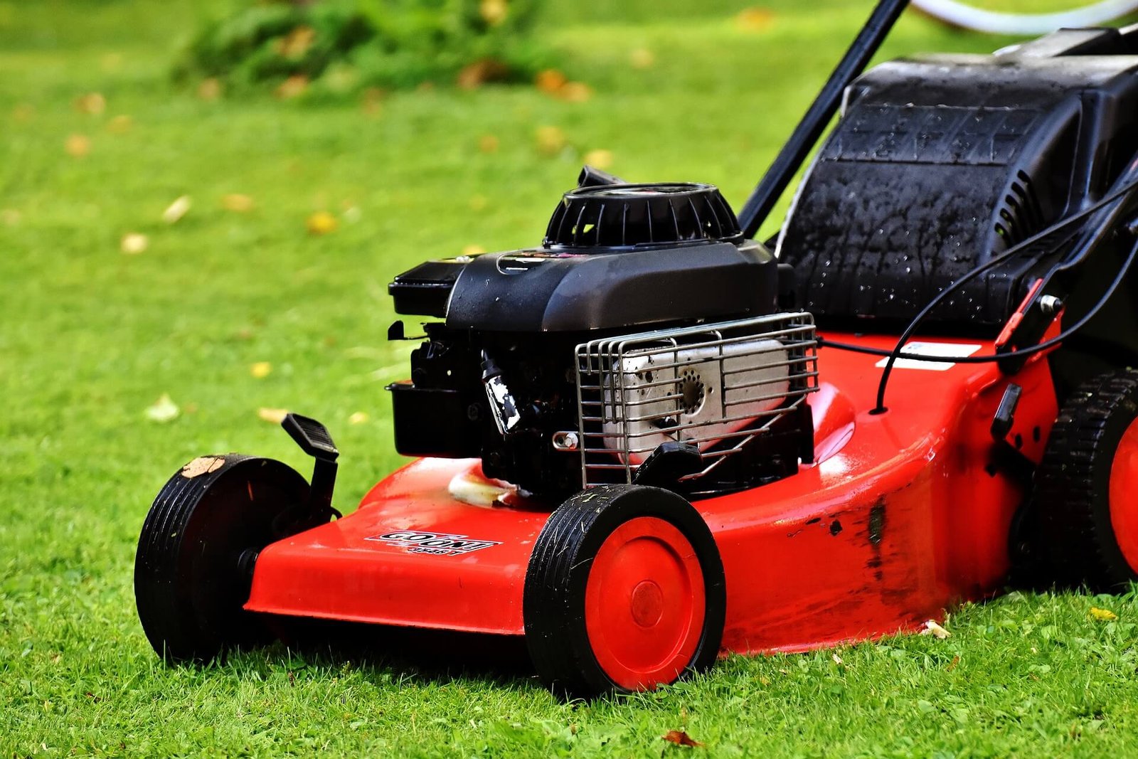 Lawn Care Background Placeholder