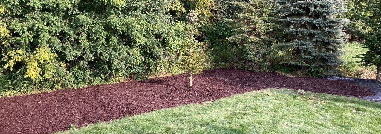 Landscaping Background